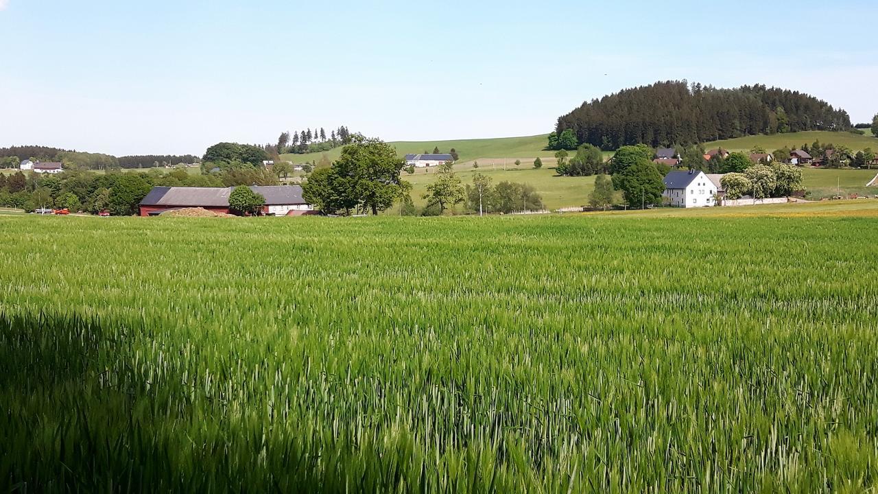 Landhotel "Lichte Aue" Lichtenau Stutzengrun 외부 사진